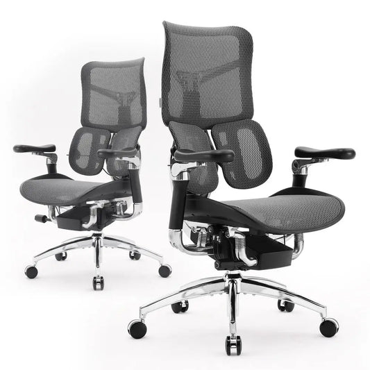 XMSJ Doro S300 Ergonomic Office Chair With Lumbar Support