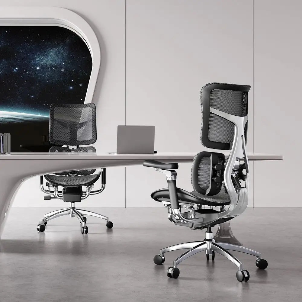 XMSJ Doro S300 Ergonomic Office Chair With Lumbar Support