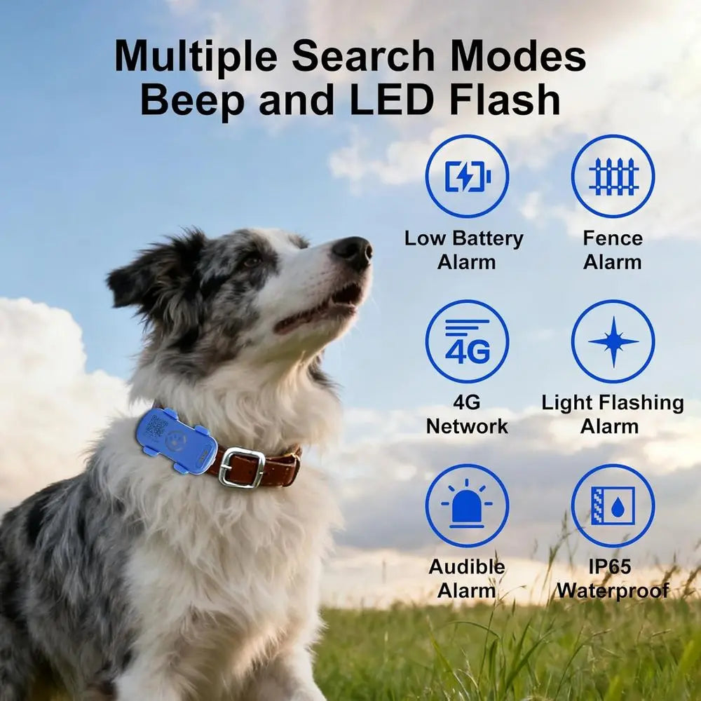 GPS Tracker for Dogs and Cats Real Time Location Alerts