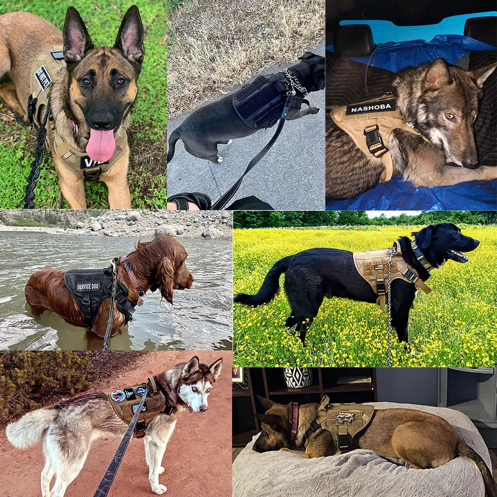 PETRAVELCN Dog Harness Leash Set Vest Harness For Training Walking